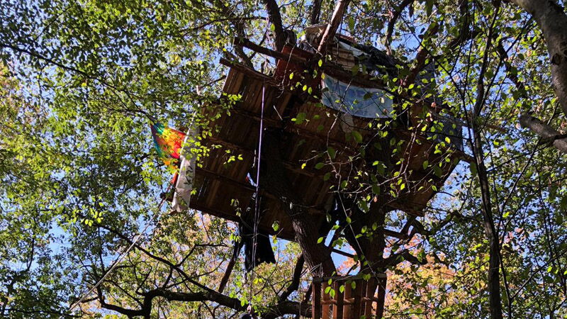 Hambacher Forst