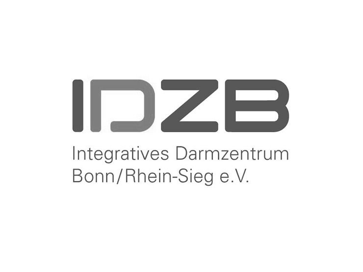 Logo IDZB